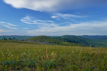 Distant green hills and flowering stapes. Zabaykalsky Krai. Russia.