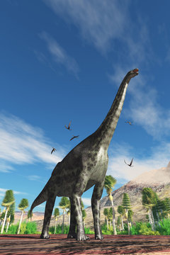 Cetiosaurus Dinosaur - Cetiosaurus herbivorous dinosaur is surrounded by Dorygnathus Pterosaur birds during the Jurassic Period.