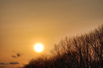 木　冬　夕日　素材