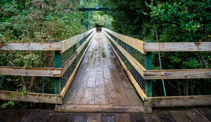 Fototapeta premium wooden bridge in the forest