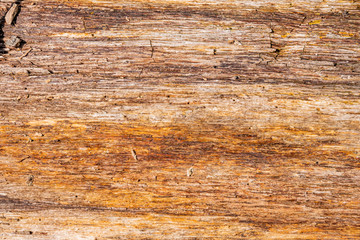 Background texture: horizontal wood grain