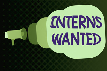 Writing note showing Interns Wanted. Business concept for Looking for on the job trainee Part time Working student Megaphone coming out of on envelope announcing and talking