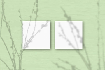 2 square sheets of white textured paper on the light green wall background. Mockup overlay with the plant shadows. Natural light casts shadows from willow branches. Flat lay, top view