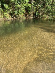 river in the forest