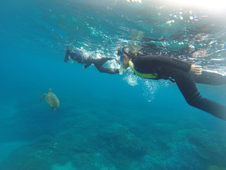 Child chasing sea turtles