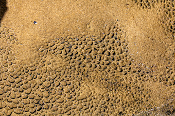 An abstract view of sand patterns on the beach