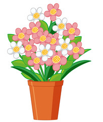 Beautiful flowers in clay pot on white background