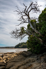 View from Sandspit, New Zealand