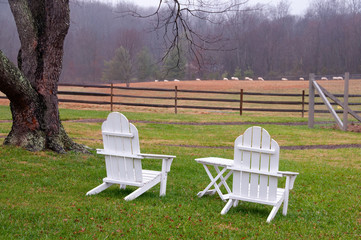 Adirondack Chairs in the Backyard
