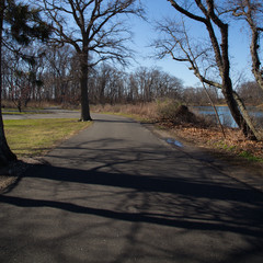 path in the park
