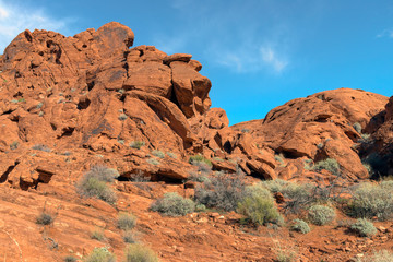 Fototapeta premium Sandstone rock formations located in the Valley of Fire, Nevada