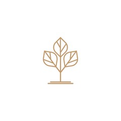 Premium tree logo design