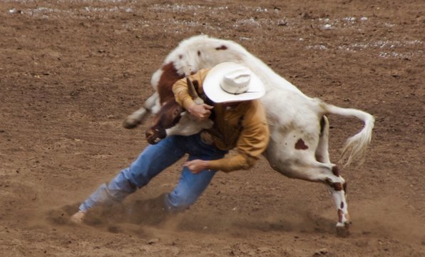 Man Tackling Bull In Stadium