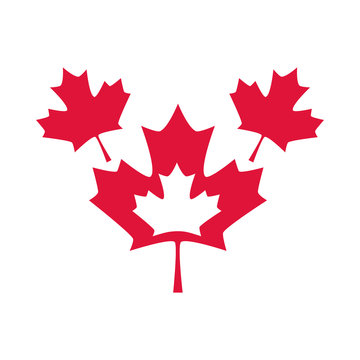 canada day, red maple leaves national symbol flat style icon