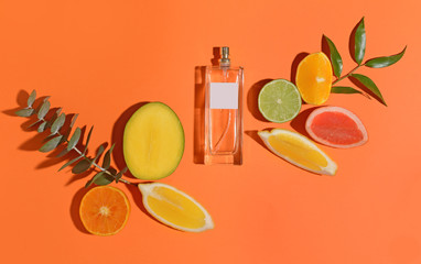 Beautiful composition with perfume bottle on color background