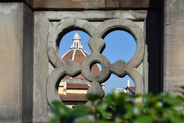 A peek at the famous done in Florence Italy