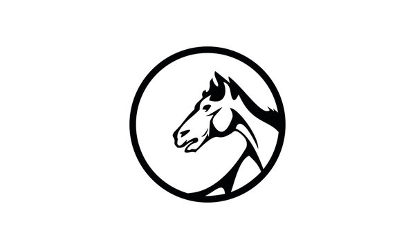 logo icon horse vector