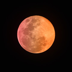 full moon in the night