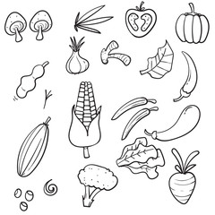 hand drawn Vegetables doodle drawing collection. vegetable such as carrot, corn, ginger, mushroom, cucumber, cabbage, potato, etc. icon vector