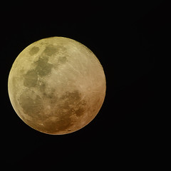 full moon in the night