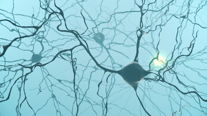 Neuron cluster signal transfer inside human brain