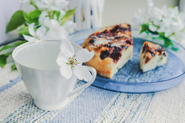 White porcelain cup with green tea and a fresh white pear tree flower and homemade berry pie with berries on a blue dish in the background. Beautiful cozy breakfast