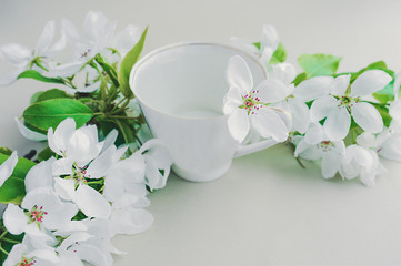 Naklejka na ściany i meble White porcelain cup with green tea and a fresh white pear tree flower in a lush bouquet of blooming white flowers and green bright leaves on a twig on a light table