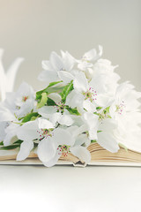 lush white bouquet of fresh flowers with green leaves on an open white paper, white porcelain teapot on the background. Reading time, summer bright morning. vertical image