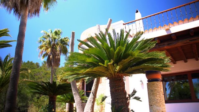 Several palms in front of a beautiful mansion on Ibiza, Spain.