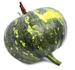Green pumpkin isolated on white background