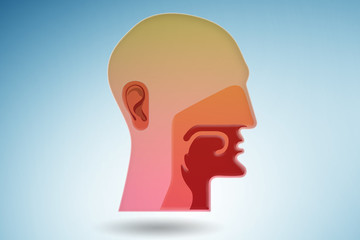 Illustration of human head with various organs