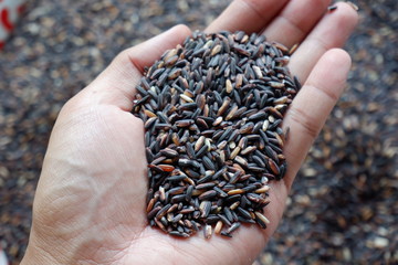 handful of seeds