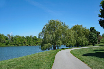 Fototapeta na wymiar Path beside a river with willow trees on a sunny summer day