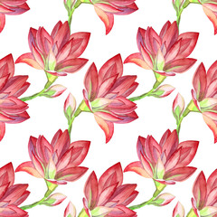 Fototapeta na wymiar Seamless pattern watercolor hand-drawn pink flower blossom lily with petals and buds on white background art creative wrapping or textile