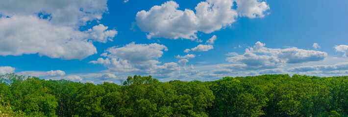 Blue sky , white clouds and green trees panorama