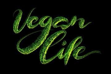 Vegan Life word inscription lettering made of multicolored luminous circles isolated on black background
