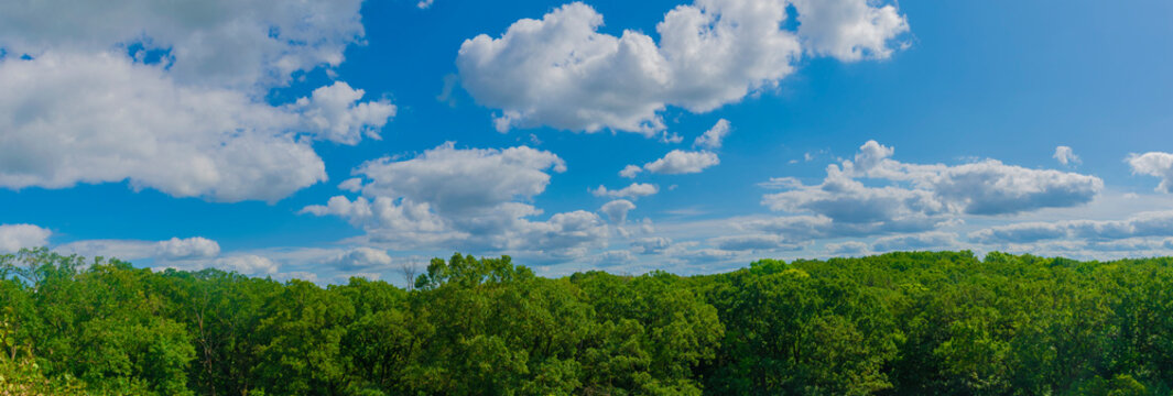 Blue Sky , White Clouds And Green Trees Panorama