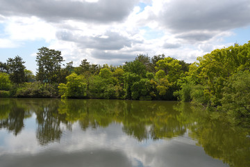 Fototapeta na wymiar 若葉が繁る木々に囲まれた池の上空に、分厚い雲が連なっている風景