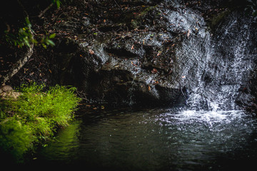 River, Mahakiula, Sri Lanka