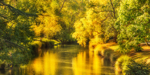 Autumn color nature landscape in garden with water river stream. Fall season background.