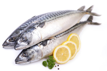 Mackerel fish on white background