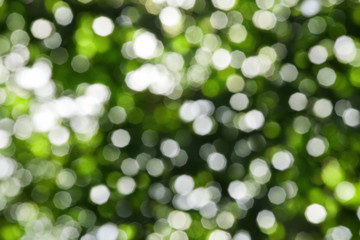 Obraz premium Abstract bright green blurred bokeh background, defocused round green and white lights texture, summer nature shiny glowing sunlight pattern, beautiful decorative backdrop, sparkling wallpaper design