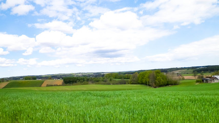 Fields and meadows, Kashubia region. Travel and nature concept.