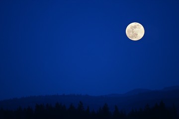 Fototapeta na wymiar full moon over the blue sky