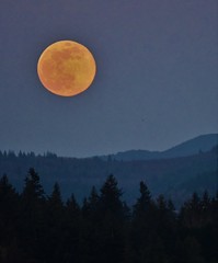 moon over the mountains © Robert