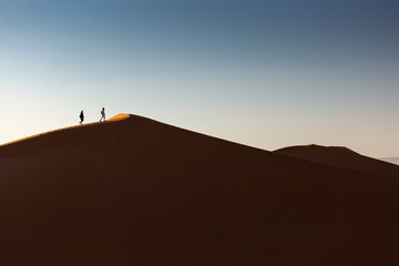 Fototapeta na wymiar Man walking on dunes of Desert Sahara with beautiful lines and colors at sunrise. Merzouga, Morocco
