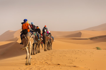 Camels caravan in the dessert of Sahara with beautiful dunes in background. Morocco