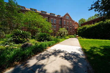 Florida State University campus garden landscape
