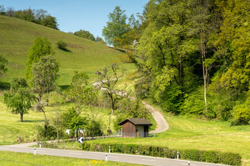 Backroads along the shores of Upper Zurich Lake (Obersee) near Bollingen, St. Gallen, Switzerland