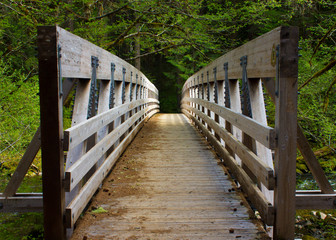 Wooden Bridge Leading into Green Forest at Bagby Hot Springs, Mt. Hood National Forest, Oregon